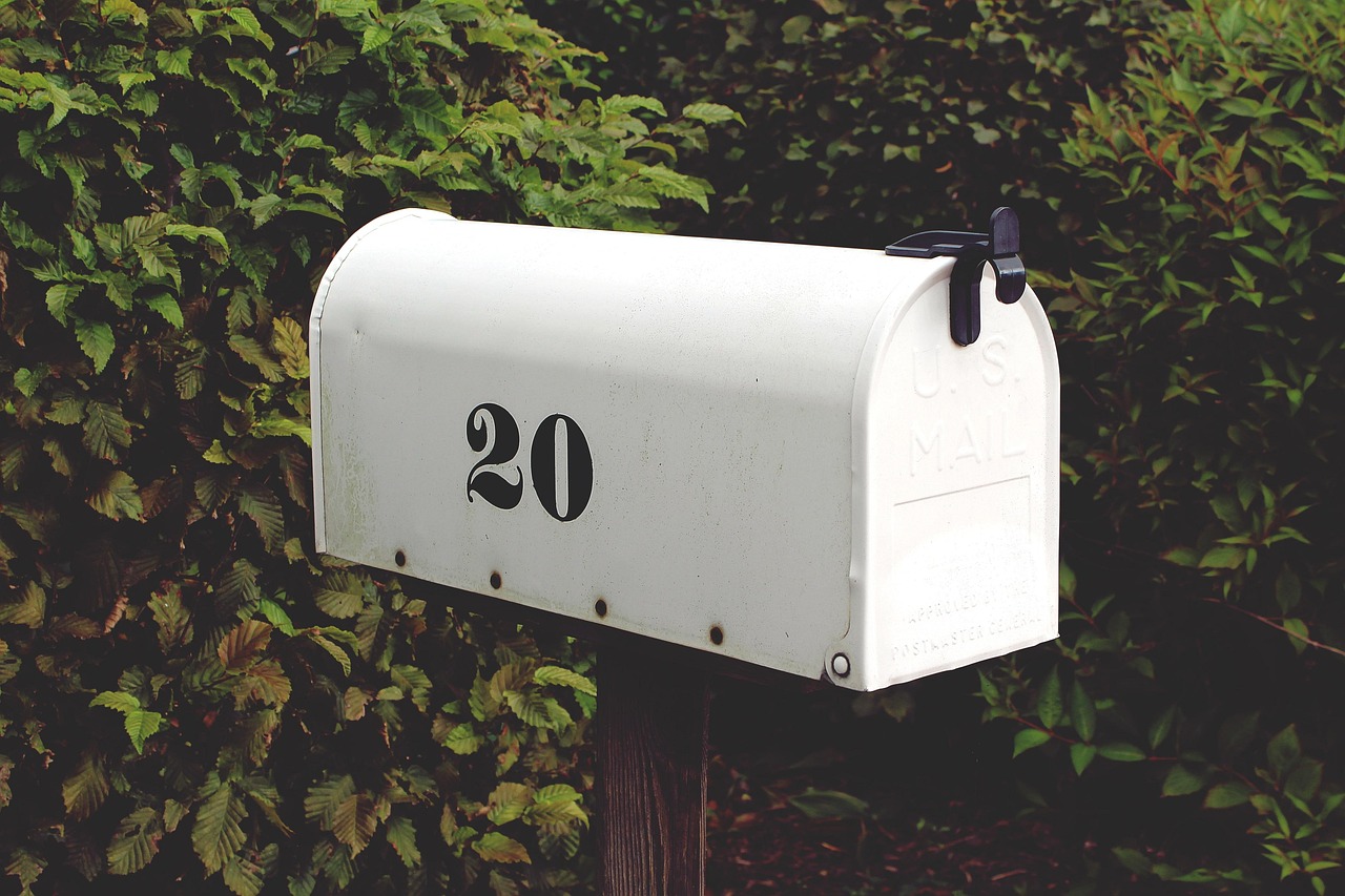 IRS Notices Explained: What to Do When You Receive a CP501 or CP504