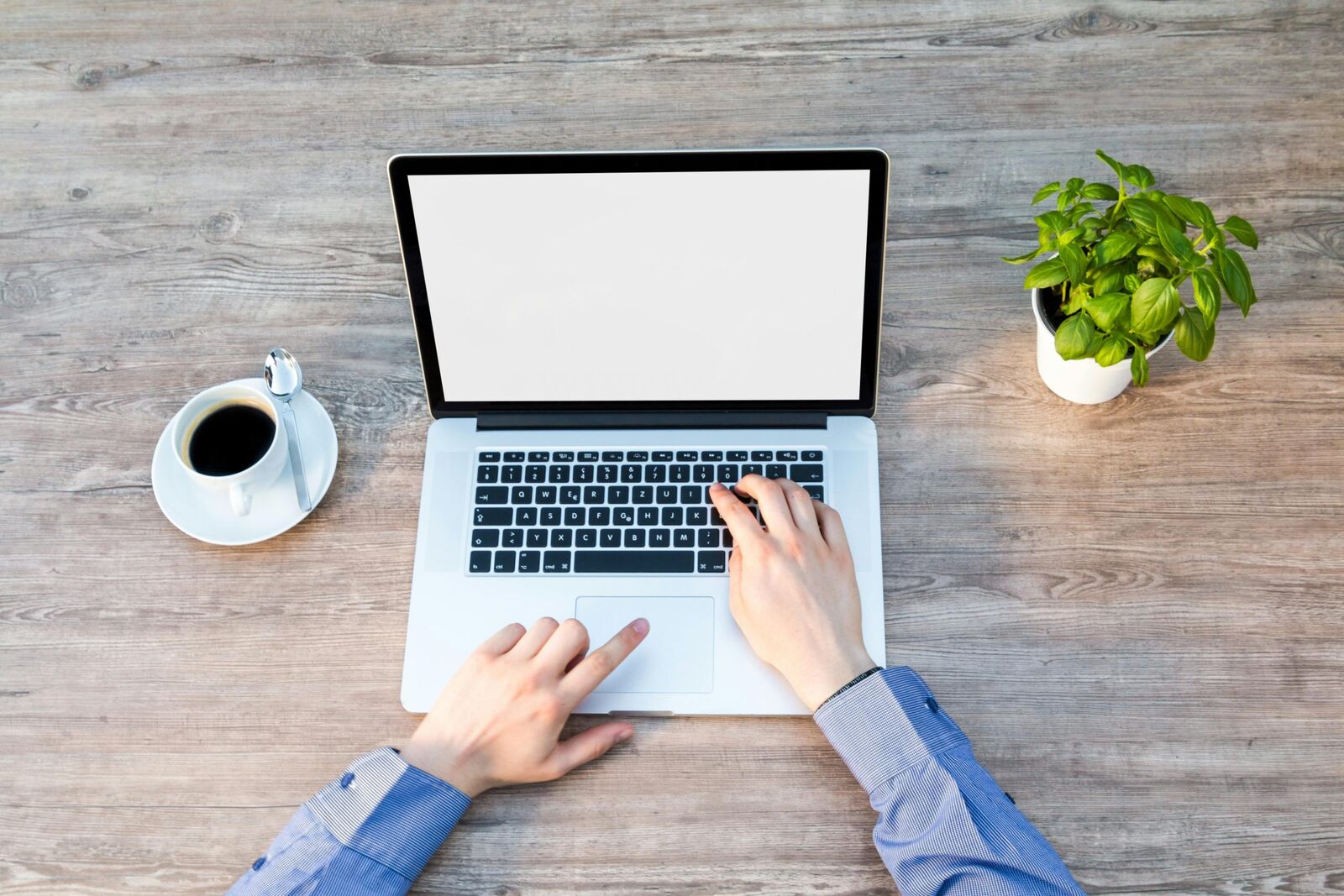 Freelancers and IRS Debt